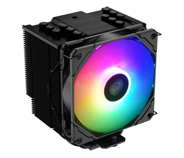 Silver Monkey X Stormy